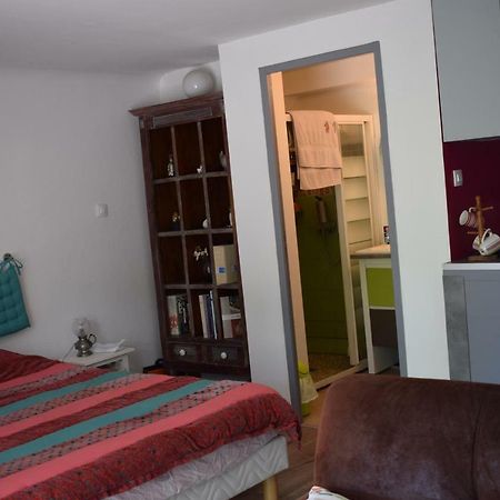 Petit Nid Douillet Lägenhet Cambo-les-Bains Exteriör bild
